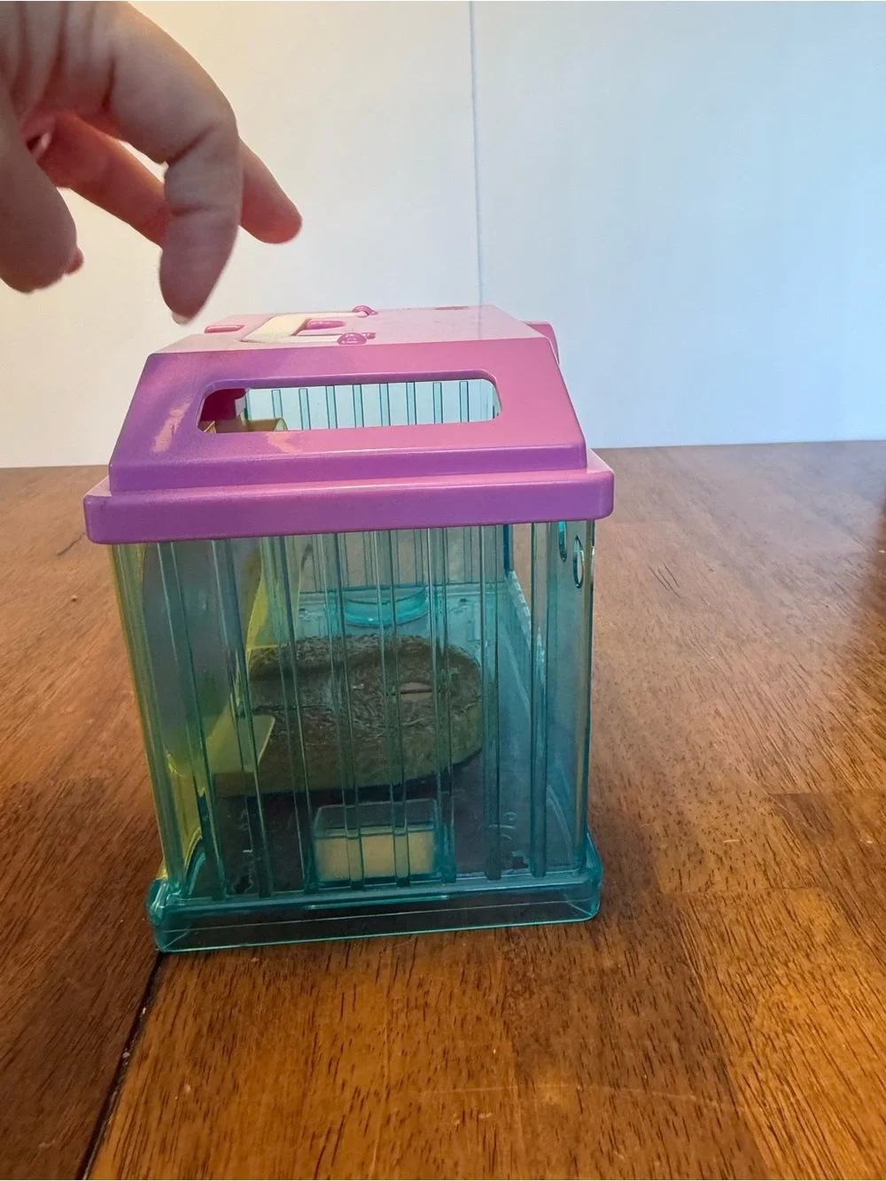 Little Alice Pets House Carrier